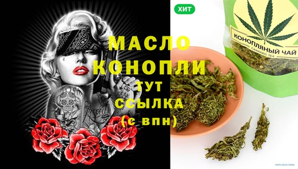 соль ск Горно-Алтайск