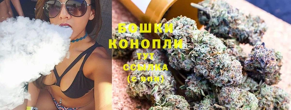 соль ск Горно-Алтайск