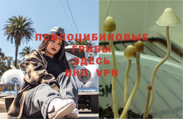 меф Горнозаводск