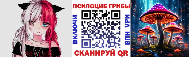 Купить закладки  Белоозёрский  Псилоцибиновые грибы мухоморы 