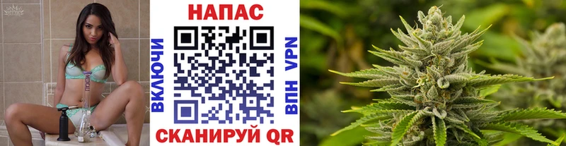 Каннабис ГИДРОПОН  Купить где  Белоозёрский 